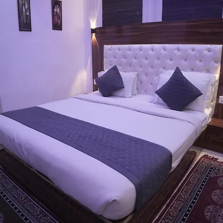 Hotel Raj Palace - Igi Airport Delhi-3
