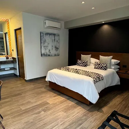 Esplendor by Wyndham San Luis Potosi Monarca-3