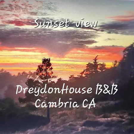Dreydon House Bed And Breakfast-3