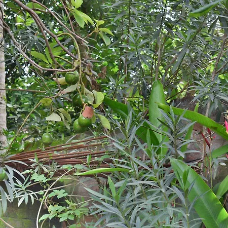Silent Waters Resorts-2
