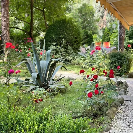 Hotel Villa Westend-3