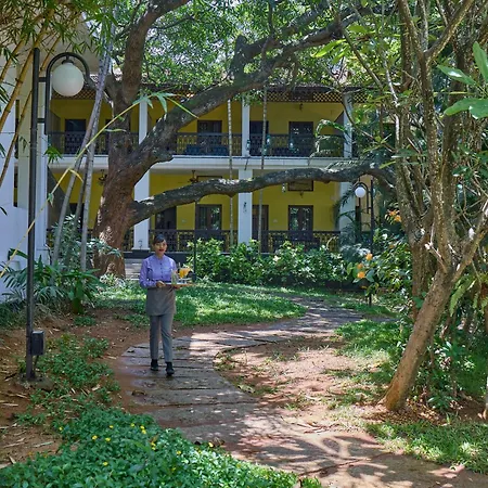 Royal Orchid Metropole Mysore-3