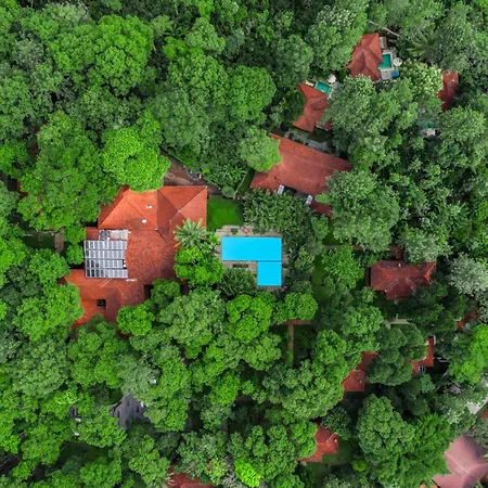 Greenwoods Thekkady - A Five Star Classified Resort-2