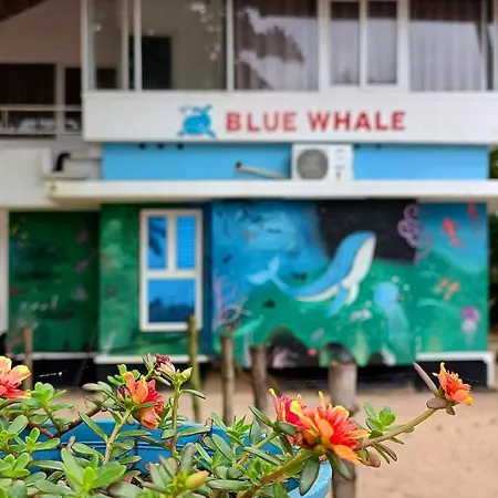 Marari Blue Whale Beach House-2