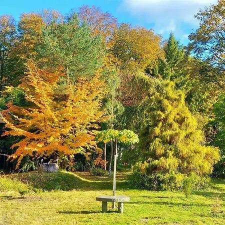 Ostsee-Pension An der Lindenallee-2