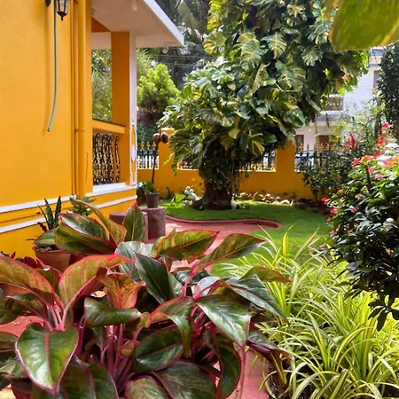 Minria Guest House-3