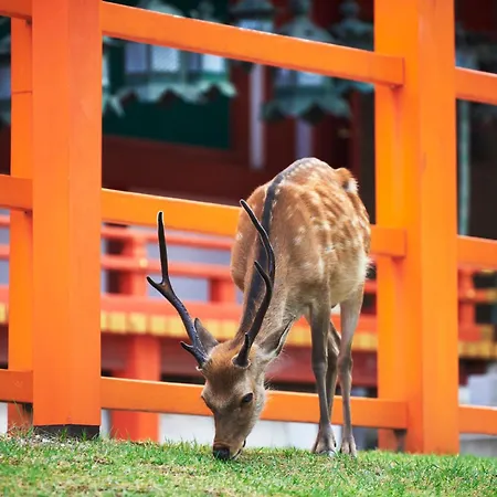 Jw Marriott Hotel Nara-2