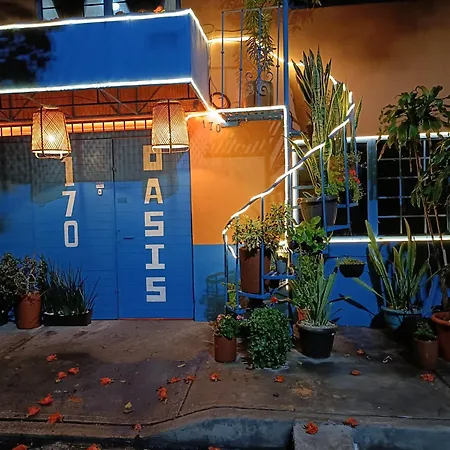 Oasis Airport-3