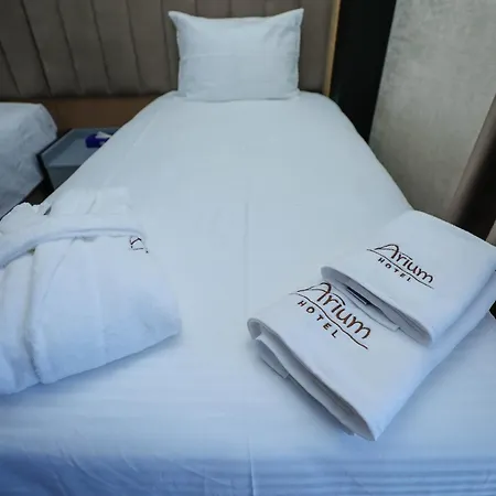 Arium Hotel Baku-2