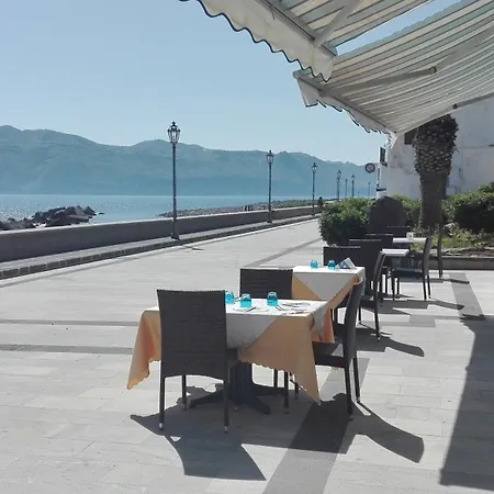 Il Delfino-2