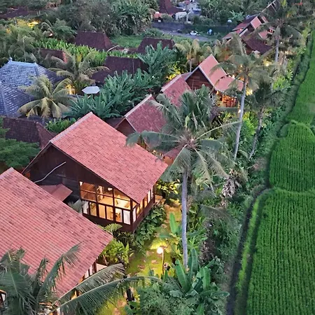 Ubud Art Resort By Wedja-3