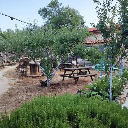 3 Oda Kaş-2