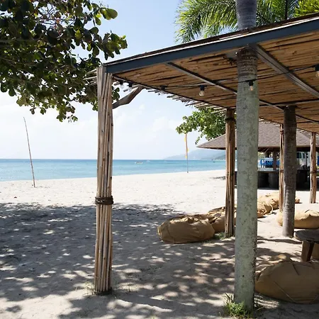Cocoons Club Laiya-2