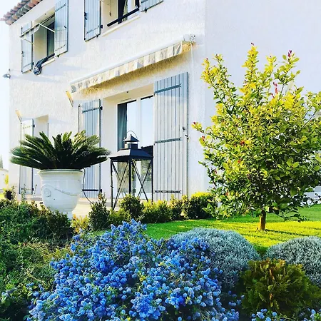 Villa Maolo 2-3