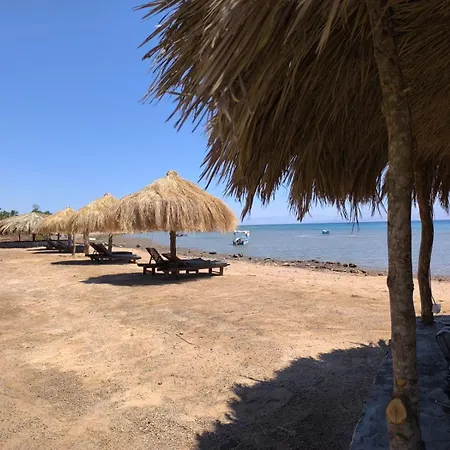 Sea Side Camp-3