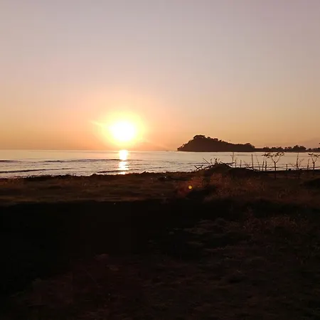 The Beach Bungalows & Turtle Sanctuary-2