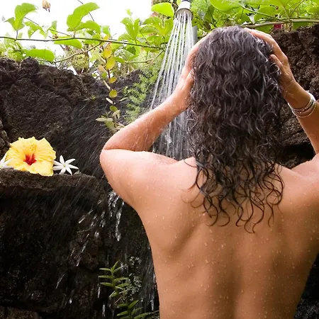 Ka'Awa Loa Plantation-3