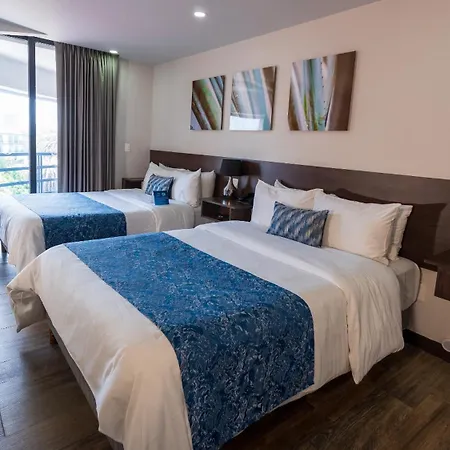 Hotel Circulo Condesa-3