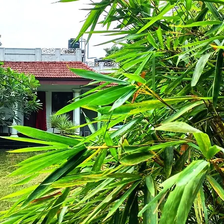 Angels' Homestay Marari-2