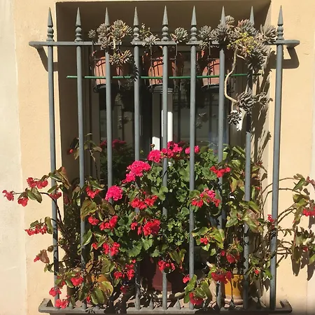 Simone'S Houses-2