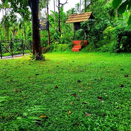 Greens Tree House & Wood House-2