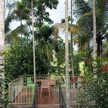 Paddy View Resort Wayanad-2