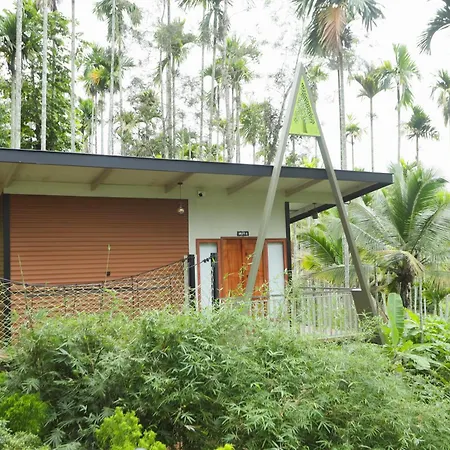 Paddy View Resort Wayanad-3