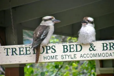 Treetops Bed & Breakfast-2