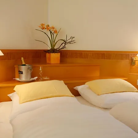 Hotel Gasthof Sternen-3