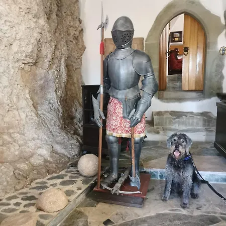 Burg Hermannstein - Kings Room-3