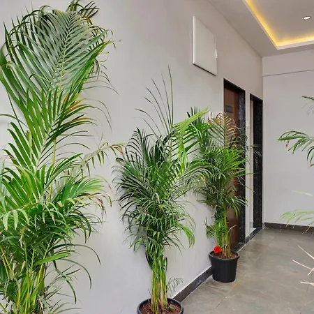 Hotel Sayba Executive-3