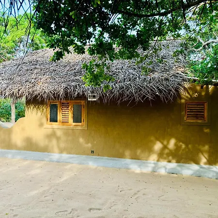 Peanut Farm Surf And Wild Resort - Arugambay-2