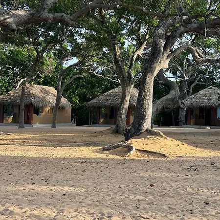 Peanut Farm Surf And Wild Resort - Arugambay-3