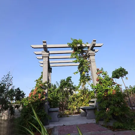 La Palmera-2