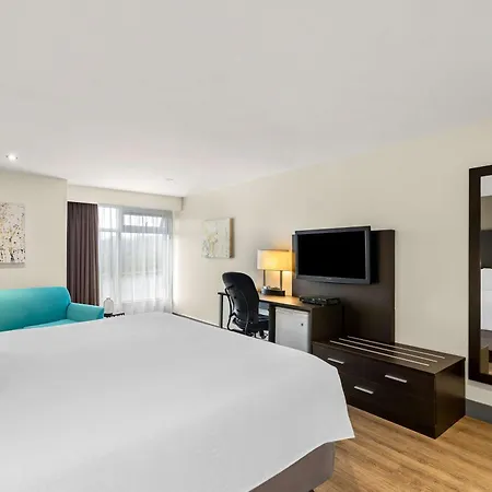 Best Western Hotel St. Jerome-3