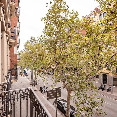 Sweett - Urgell Eixample-2