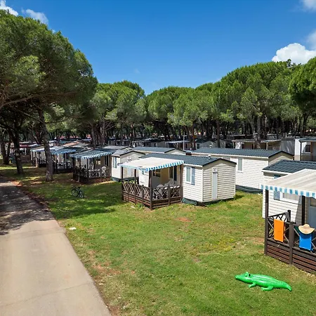 Albatross Mobile Homes On Camping Bi Village-2
