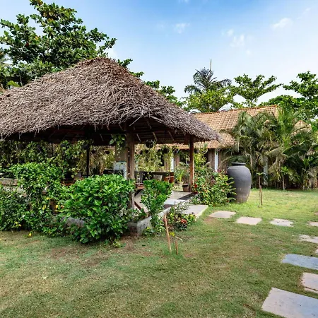 Akasa Goa-2