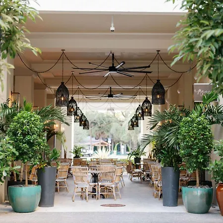 Thesis Hotel Miami Coral Gables, Curio Collection By Hilton-2