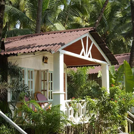 Beachfront Bliss-2