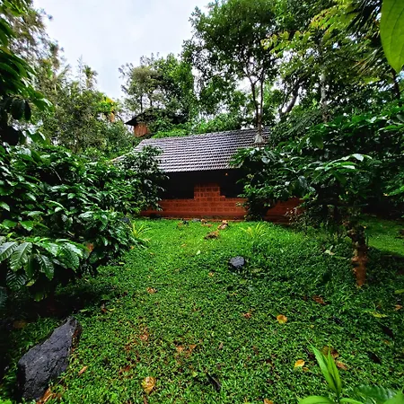 Greens Tree House & Wood House-3