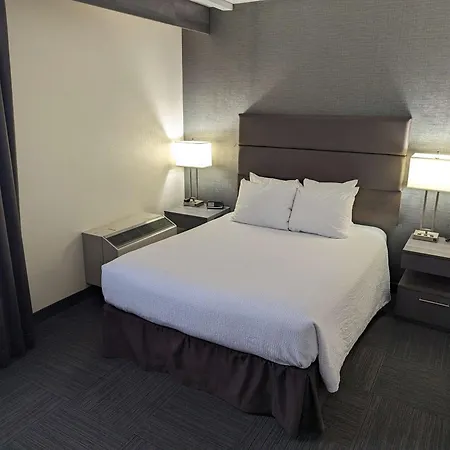 Best Western Plus Toronto Airport Hotel-2