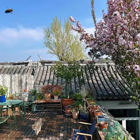 Peking Garden Siheyuan Boutique Hotel-Forbidden City&Beihai Park&Historic Hutong-Traditionnal Yard&Sunshine Terrace&Tea House&Home Kitchen-2