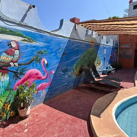 Bungalows Flamingos-3