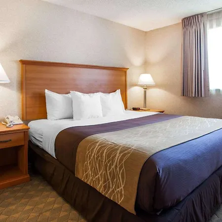 Quality Inn Kirkland-3