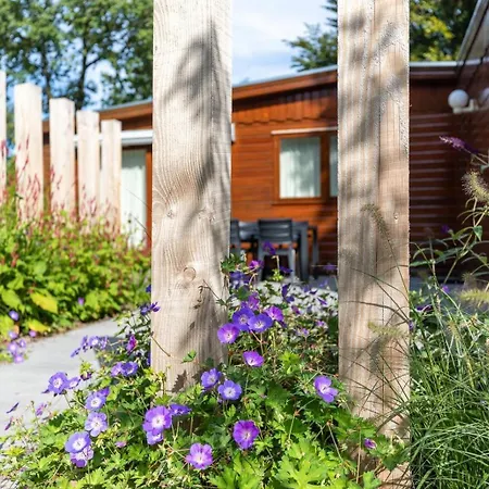 Bungalowpark Het Verscholen Dorp-3