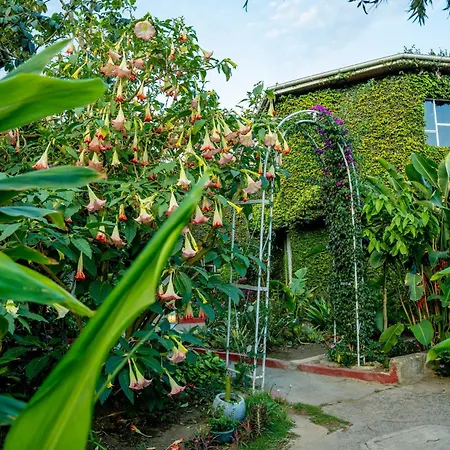 Dan Stam Hotel-2