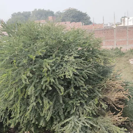 Shri Ram Lala Guest House Ayodhya-2