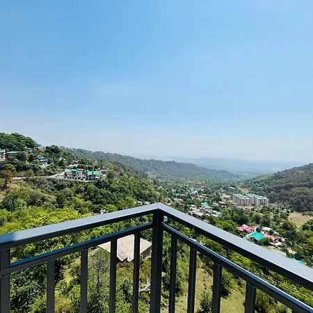El Pino-3