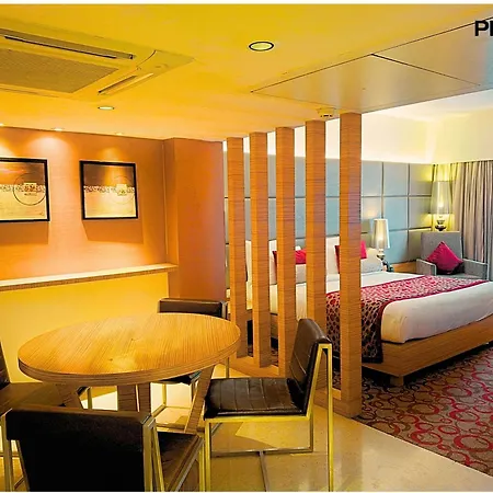 Pride Plaza Hotel, Ahmedabad-3